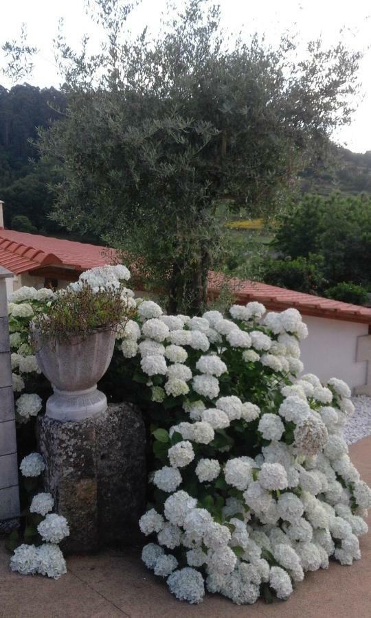 Casa Freitas Villa Paredes de Coura Bagian luar foto