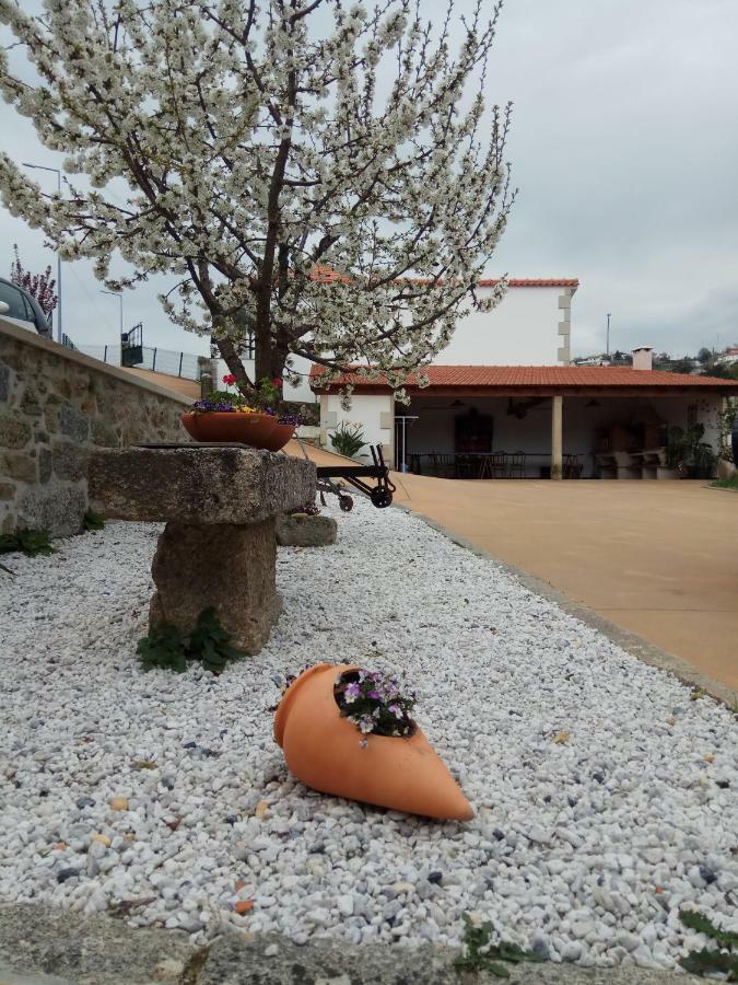 Casa Freitas Villa Paredes de Coura Bagian luar foto